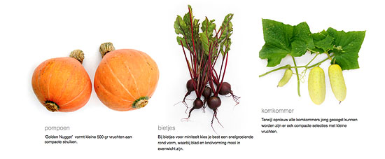 Nog meer minigroenten