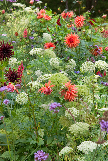 Evenwichtige mix opvallend en rustig