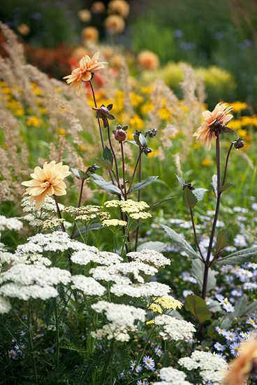 Eenvoudig en elegant