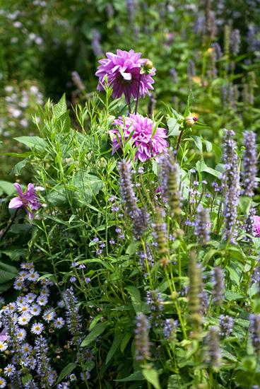Ton-sur-ton nazomer kleurboost