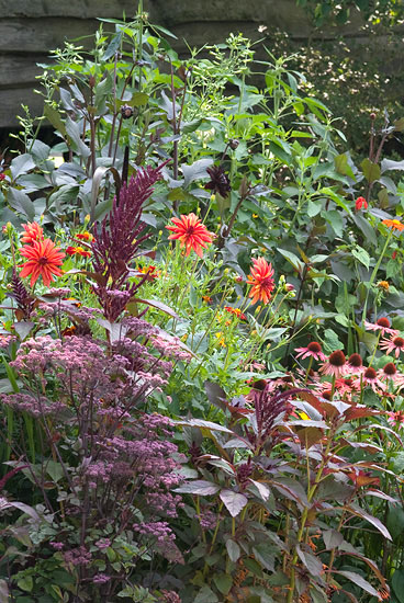 hotborder in warme tinten