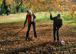 Afbeelding: Tuin winterklaar maken