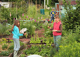 Afbeelding: Moestuinseizoen  2011