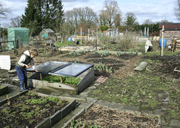 Afbeelding: Moestuin in maart