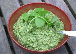 Afbeelding: Pesto van winterpostelein