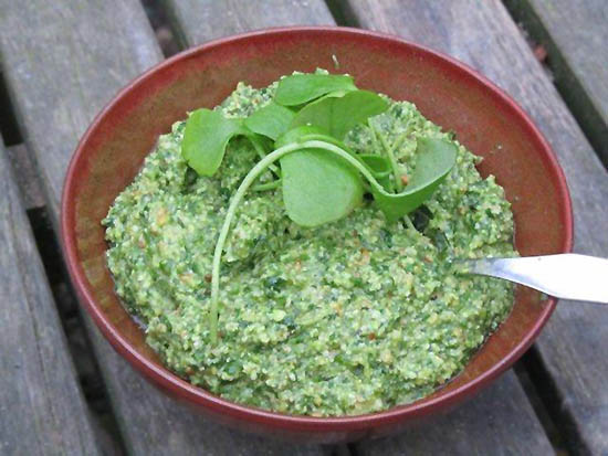 Pesto van winterpostelein