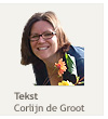 Corlijn de Groot