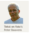 Peter Bauwens