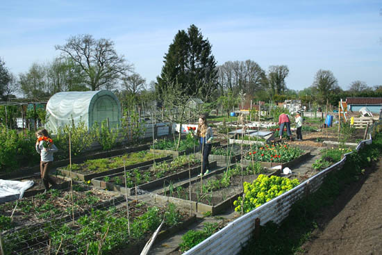 Moestuin beginnen