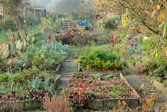 Moestuin in november