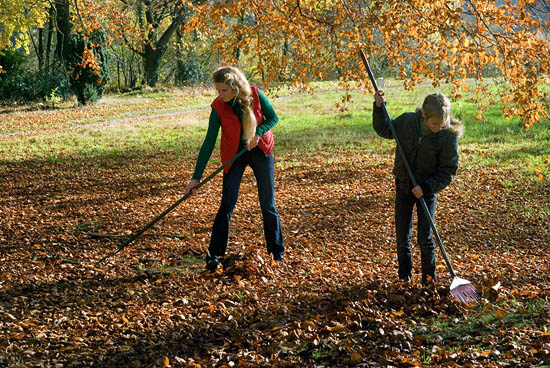 Tuin winterklaar maken